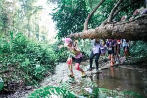 BIB: 
                            <button type="button" onclick="openModal(25456302)" class="btn btn-primary btn-sm float-right btn-popup" data-toggle="modal" data-target=".modal-high-quality">
                        <i class="fas fa-shopping-cart"></i> Add to Cart
                    </button>
                                            <button type="button" onclick="isThisMe(25456302, true)" class="btn btn-success btn-sm float-right btn-popup btn-isme hidden" data-toggle="tooltip" data-placement="bottom" title="นี่คือรูปของคุณใช่ไหม คลิกที่นี่เพื่อเอาเข้าอัลบั้ม">
                        <i class="fas fa-plus"></i> Add to album
                    </button>
                    <button type="button" onclick="isThisMe(25456302, false)" class="btn btn-warning btn-sm float-right btn-popup btn-isnotme hidden">
                        <i class="fas fa-ban"></i> Remove from album
                    </button>